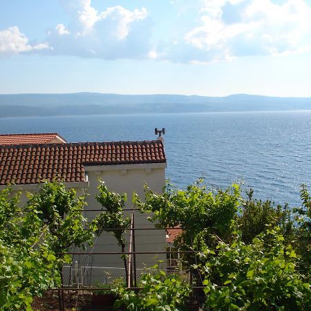 Apartmani Stanic Rosa Stanici Exterior foto